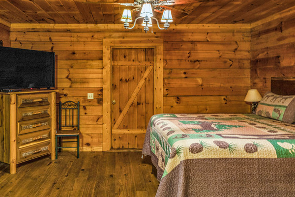 Cabin 8 (1K) Photo 5