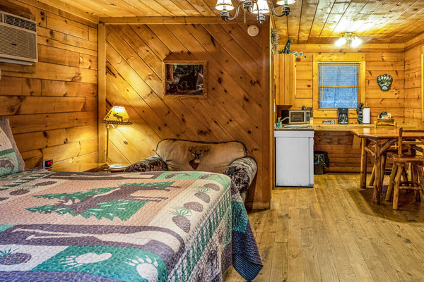 Cabin 8 (1K) Photo 7