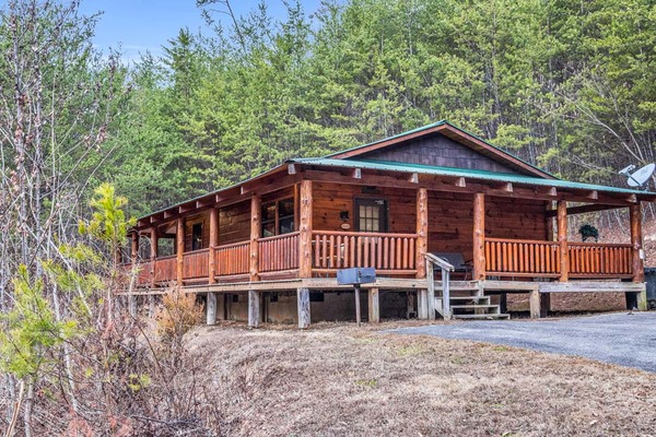 Cabin 9 (1F 1Q) Photo 3